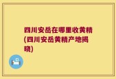 四川安岳在哪里收黄精(四川安岳黄精产地揭晓)