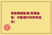 葛根黄精胎菊(葛黄胎菊：中医理疗的传奇组合)