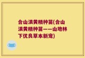 合山滇黄精种苗(合山滇黄精种苗——山地林下优良草本新宠)