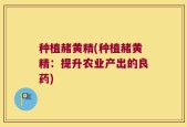 种植赭黄精(种植赭黄精：提升农业产出的良药)