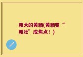 粗大的黄精(黄精变“粗壮”成焦点！)