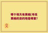 哪个地方有黄精(寻找黄精的目的地是哪里？