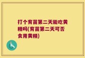 打个育苗第二天能吃黄精吗(育苗第二天可否食用黄精)