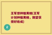 王军想种植黄精(王军计划种植黄精，期望获得好收成)