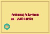 自营黄精(自家种植黄精，品质有保障)