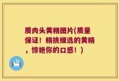 质肉头黄精图片(质量保证！精挑细选的黄精，惊艳你的口感！)