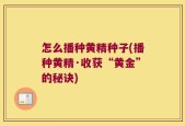 怎么播种黄精种子(播种黄精·收获“黄金”的秘诀)