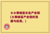 小小黄精苗长出产业链(小黄精苗产业链的发展与应用。)