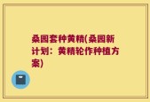 桑园套种黄精(桑园新计划：黄精轮作种植方案)