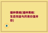 播种黄精(播种黄精：生态效益与药用价值并存)