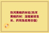 热河黄精药材名(热河黄精药材：深度解读生长、药效及应用价值)