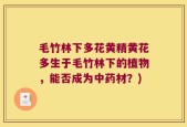 毛竹林下多花黄精黄花多生于毛竹林下的植物，能否成为中药材？)