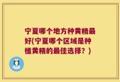 宁夏哪个地方种黄精最好(宁夏哪个区域是种植黄精的最佳选择？)