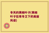 冬天的黄精叶子(黄精叶子在寒冬之下的美丽风姿)