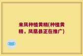 来凤种植黄精(种植黄精，凤凰县正在推广)