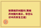 制黄精药材图片(黄精药材图片展示，带您认识中药养生之道)