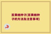 蒸黄精种子(蒸黄精种子的方法及注意事项)