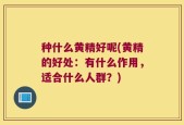 种什么黄精好呢(黄精的好处：有什么作用，适合什么人群？)