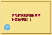 何处有黄精种苗(黄精种苗在哪里？)