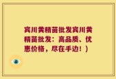 宾川黄精苗批发宾川黄精苗批发：高品质、优惠价格，尽在手边！)