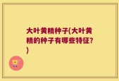 大叶黄精种子(大叶黄精的种子有哪些特征？)