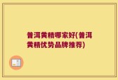 普洱黄精哪家好(普洱黄精优势品牌推荐)