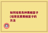如何培育良种黄精苗子(培育优质黄精苗子的方法