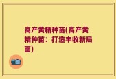 高产黄精种苗(高产黄精种苗：打造丰收新局面)
