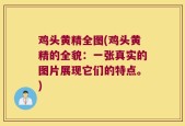 鸡头黄精全图(鸡头黄精的全貌：一张真实的图片展现它们的特点。)