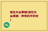 榆社大山黄精(榆社大山黄精：神奇的中药材)