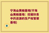 宁海山黄精基地(宁海山黄精基地：挖掘珍贵中药资源的生产和繁荣基地)
