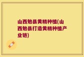 山西勉县黄精种植(山西勉县打造黄精种植产业链)
