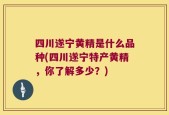 四川遂宁黄精是什么品种(四川遂宁特产黄精，你了解多少？)