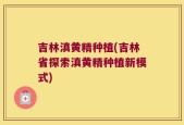 吉林滇黄精种植(吉林省探索滇黄精种植新模式)