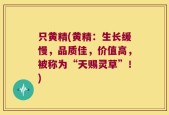只黄精(黄精：生长缓慢，品质佳，价值高，被称为“天赐灵草”！)