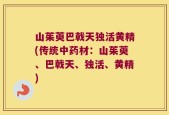 山茱萸巴戟天独活黄精(传统中药材：山茱萸、巴戟天、独活、黄精)