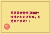 草药黄精种植(黄精种植技巧与方法分享，打造高产高效！)