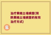 治疗黄精土壤病害(预防黄精土壤病害的有效治疗方式)