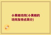 小黄精功效(小黄精的功效及特点简介)