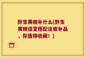 野生黄精补什么(野生黄精适宜搭配这些补品，你值得收藏！)