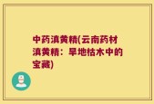中药滇黄精(云南药材滇黄精：旱地枯木中的宝藏)