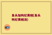 鱼头加枸杞黄精(鱼头枸杞黄精汤)