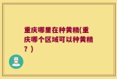 重庆哪里在种黄精(重庆哪个区域可以种黄精？)