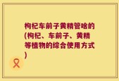 枸杞车前子黄精管啥的(枸杞、车前子、黄精等植物的综合使用方式)