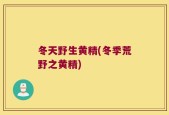 冬天野生黄精(冬季荒野之黄精)