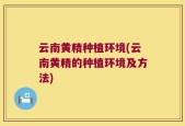 云南黄精种植环境(云南黄精的种植环境及方法)