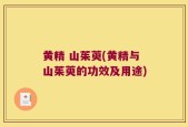 黄精 山茱萸(黄精与山茱萸的功效及用途)