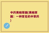 中药黄精草图(黄精草图：一种常见的中草药)