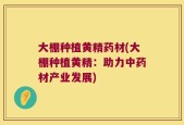大棚种植黄精药材(大棚种植黄精：助力中药材产业发展)