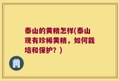 泰山的黄精怎样(泰山现有珍稀黄精，如何栽培和保护？)